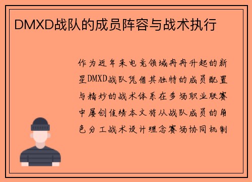 DMXD战队的成员阵容与战术执行