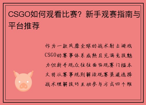 CSGO如何观看比赛？新手观赛指南与平台推荐